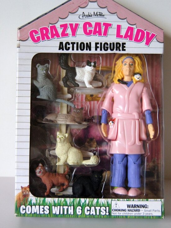 Other - Crazy Cat Lady Action Figure Archie McPhee Cat Lover Funny Gift Set NEW +6 cats